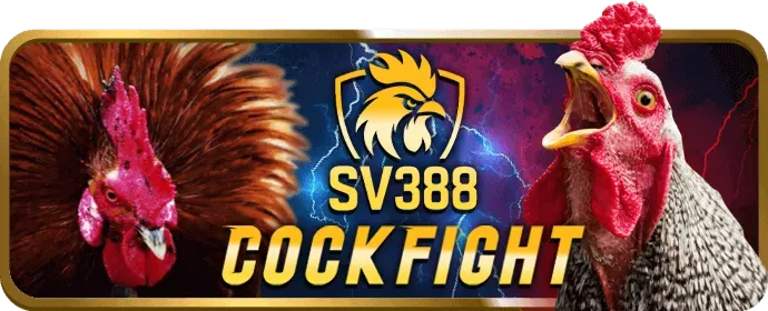 Đá Gà Trực Tiếp VFF88